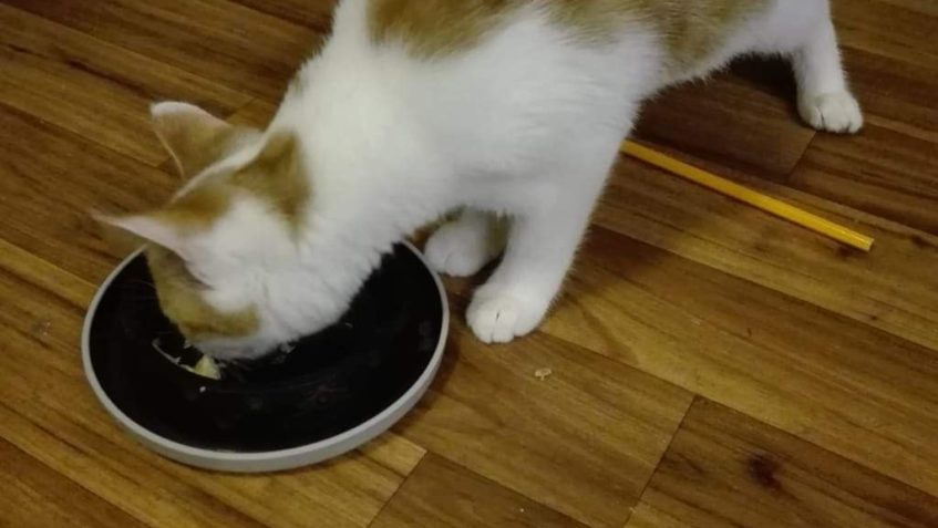 NATÁLKA  & GARGAMEL...