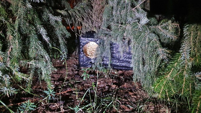 NOVÉ BYDLENÍ PRO KOČIČKY V JEDNÉ Z LOKALIT O KTERÉ PEČUJEME ...