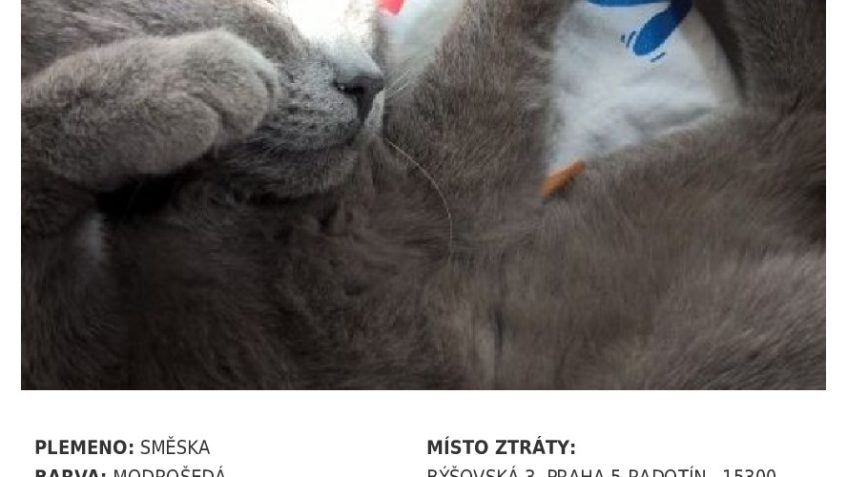 PROTOŽE JE VÁS NAŠICH SKVĚLÝCH PŘÍZNIVCŮ Z PRAHY "MRAKY" ...