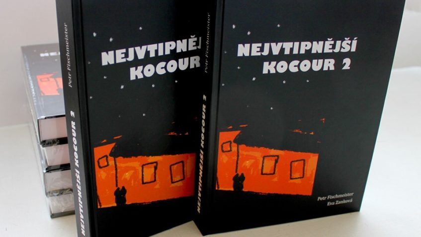 SEZNAMTE SE PROSÍM, NEJVTIPNĚJŠÍ KOCOUR 2...