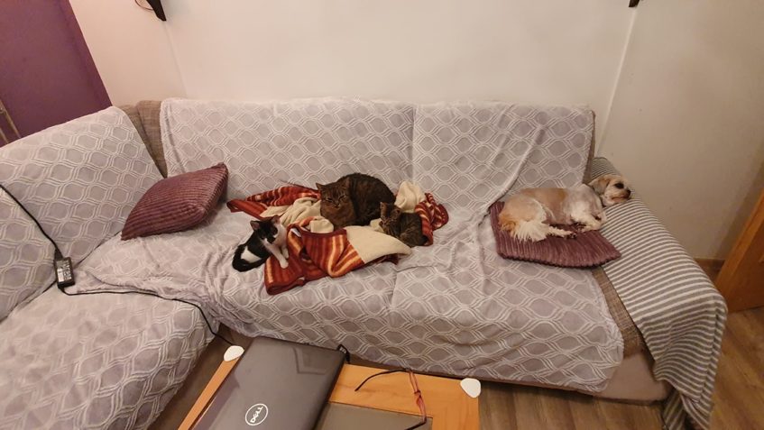 SLUNÍČKOVÁ ODPOLEDNÍ POHODA...