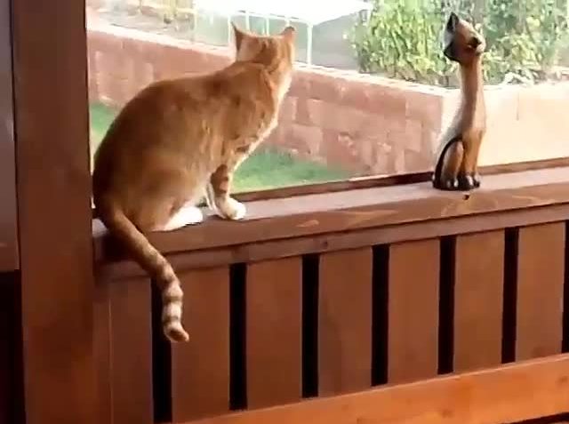 Sledovat JARÝSEK A HNĚVÁNEK