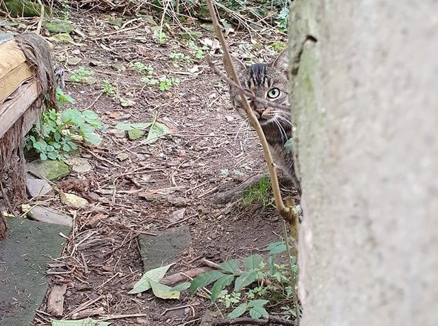 VČERA V NOCI JSME OPĚT ZAPOČALI S ODCHYTEM VE VITANĚ A V OKO...