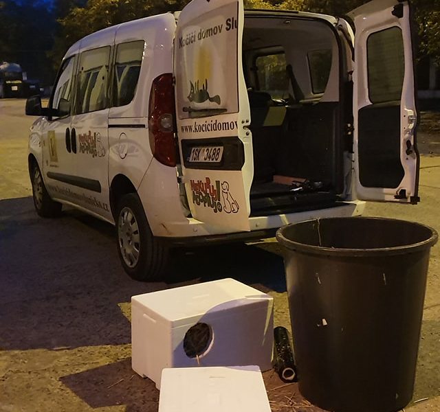 VČERA VEČER JSME POKRAČOVALI V INSTALACI DALŠÍCH BOUDIČEK...