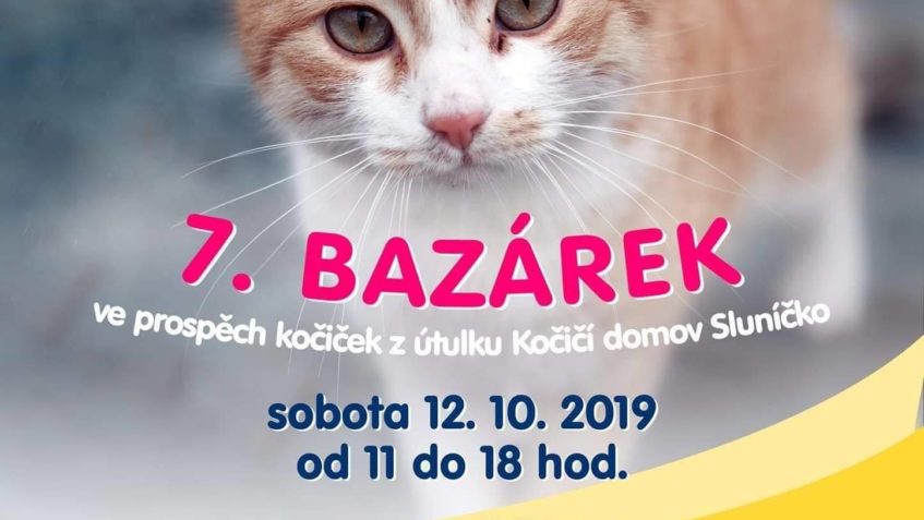 ZASTAVTE SE NA DOBROU KÁVU, ÚŽASNÉ DOMÁCÍ ZÁKUSKY A LASKOMIN...