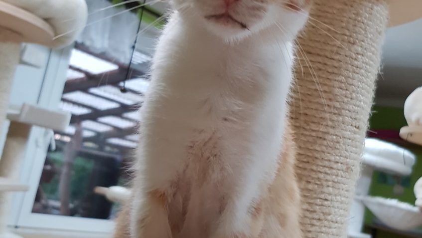 ZPRAVODAJSTVÍ DO 12.10.2019...