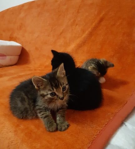 ZPRAVODAJSTVÍ ZA POSLEDNÍ TÝDEN...