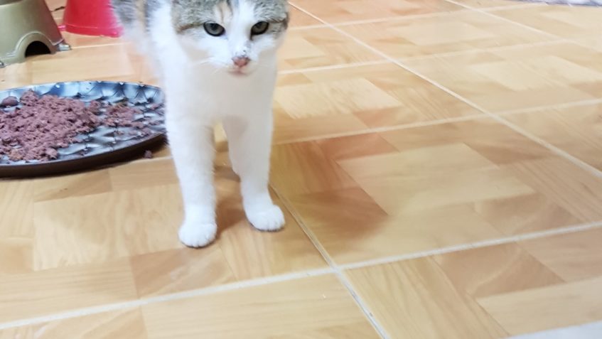 ZPRAVODAJSTVÍ do 24.10.2019...