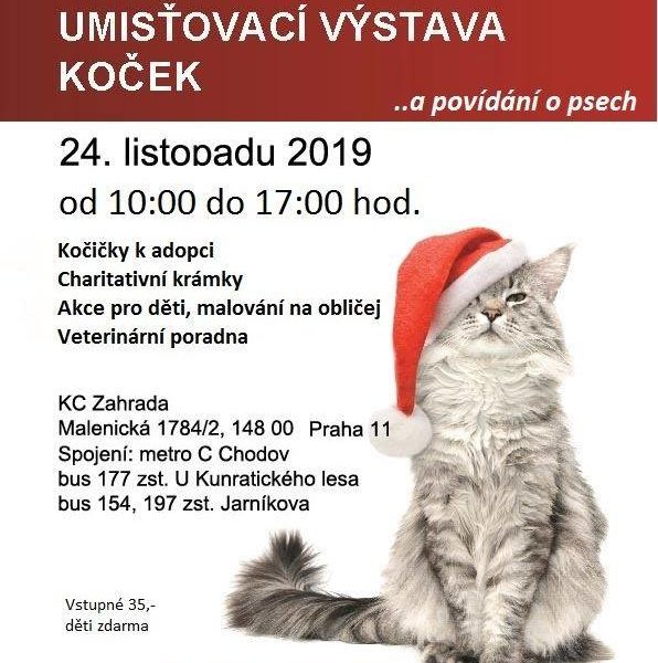 A DO TŘETICEV neděli 24.11. se koná umisťovací výstava na pr...