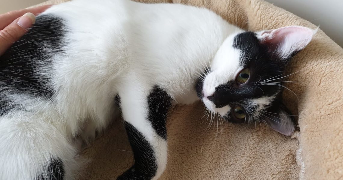 ADOPČNÍ SOBOTA VE SLUNÍČKU...