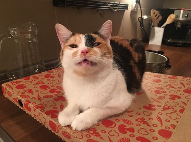 ANDROMEDA ( nyní Lily)...