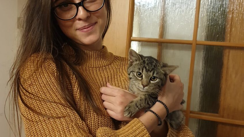 DNES ODEŠLO DO NOVÝCH DOMOVŮ 5 KOČIČÍCH ŠŤASTLIVCŮ...