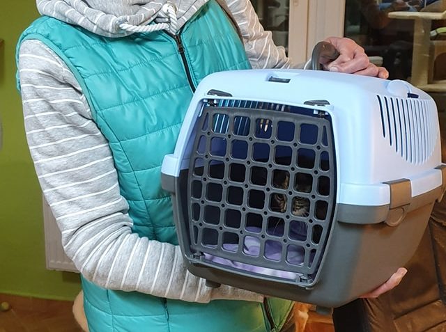 DNES ODJELA DOMŮ MALÁ HERMÍNKA...