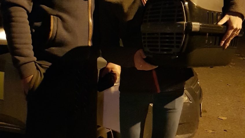 DO NOVÝCH DOMOVŮ ODJELY KOČIČKY: HOUSLIČKA, BUBÍNEK, VOKÁLEK...