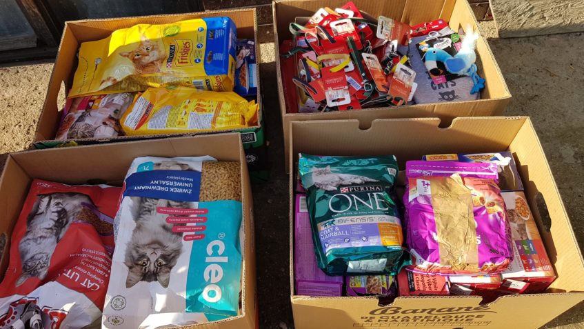 Děkujeme firmě Tesco za darování  zboží pro kočičky....