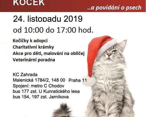 JIŽ ZÍTRA   SE NA, VÁS MOC TĚŠÍME....