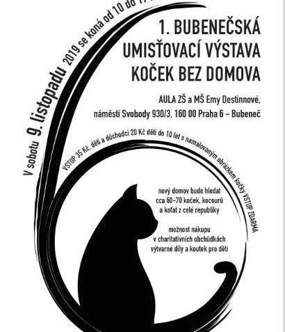 Jiz dnes to vypukne, cekame Vas! Prijdte si vybrat kociciho ...