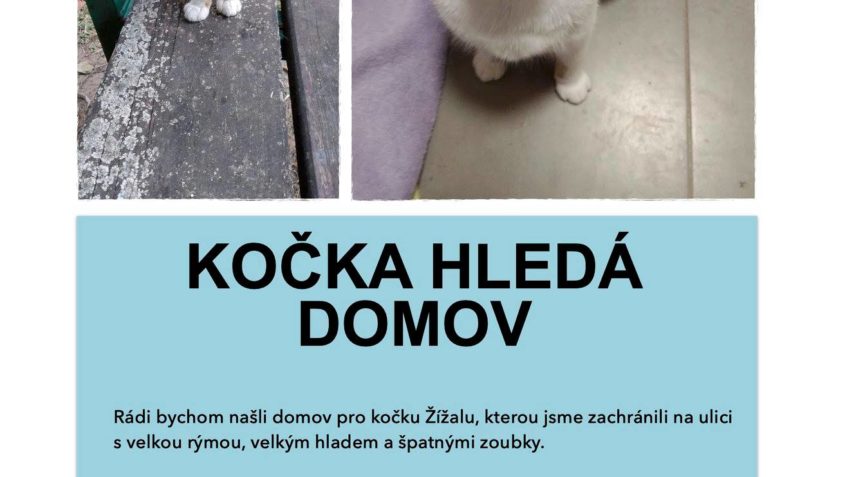 MOC PROSÍME VŠECHNY NAŠE          PŘÁTELE a PODPOROVATELE  ...