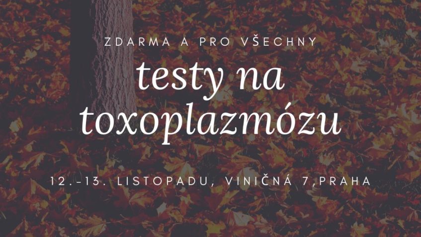 POKUD BY  MĚL NĚKDO  ZÁJEM NECHAT SE OTESTOVAT ZDARMA  na ob...