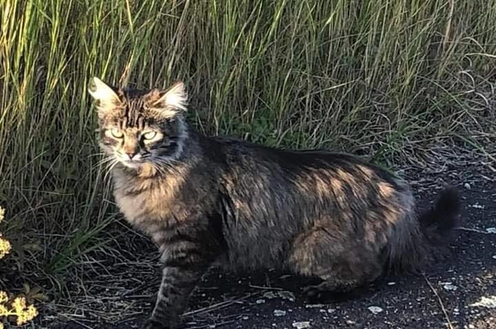 PROSÍME O POZORNOST v okolí A  VAŠE SDÍLENÍ ať se může zapo...