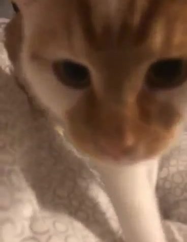 Sledovat Pozdrav od Grétičky