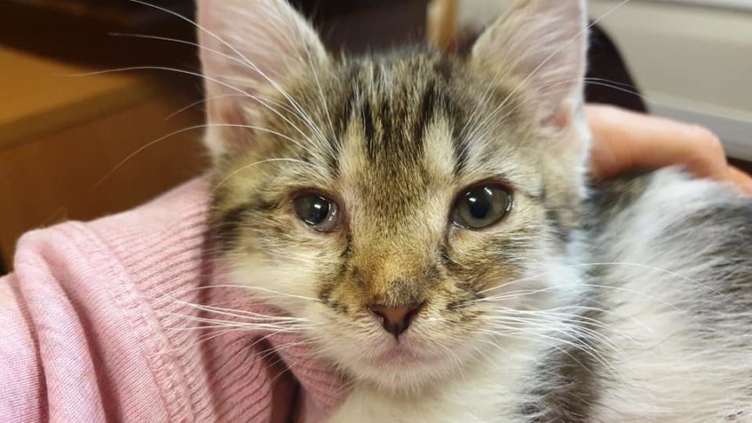 VENDULKA HLEDÁ CHLAPA!...