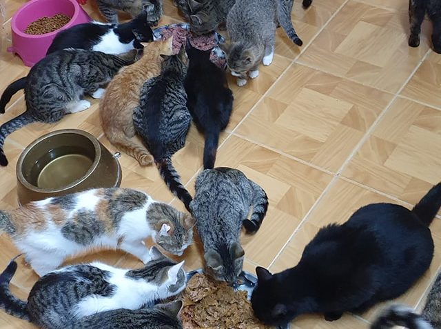 VEČEŘE VE SLUNÍČKU...