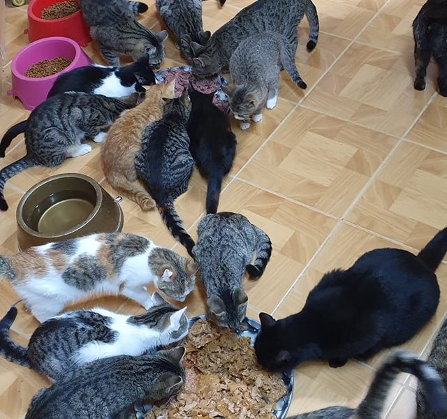 VEČEŘE VE SLUNÍČKU...