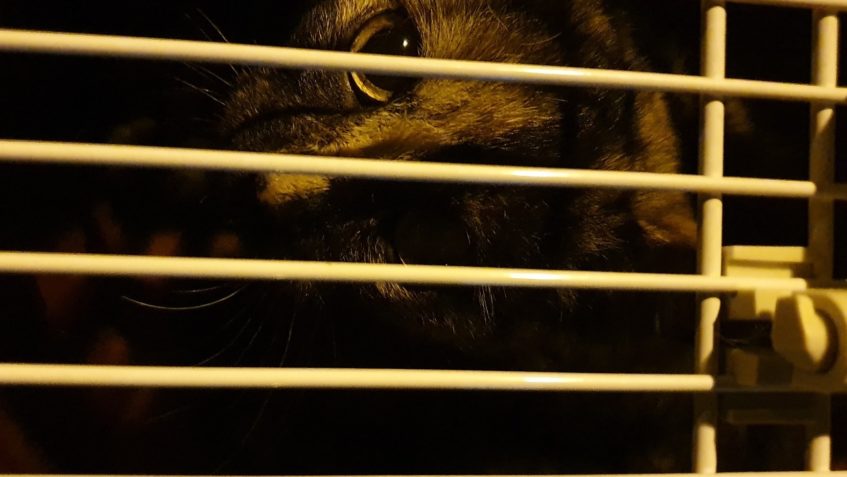 VĚDOMICE - SPORT HOTEL...