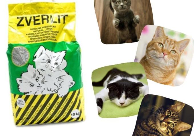 100 pytlů steliva Zverlit - Kočičí domov Sluníčko z.s. - Kočičí přání