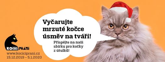 15.12. startujeme! I kočky ze Sluníčka budou čekat na dárečk...