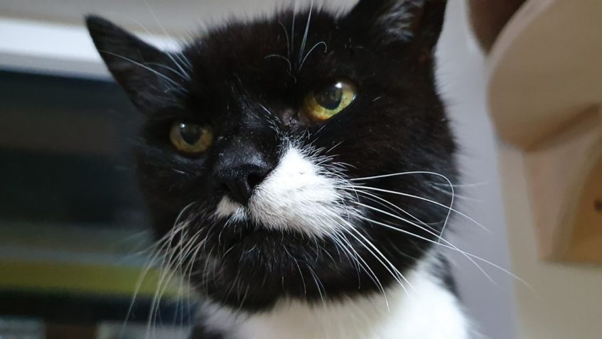 A PÁR PÓZ SI STŘIHLA I NAŠE MILOVANÁ DRUŽINKA...