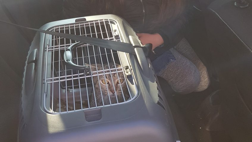 ANTONEK JEL V PÁTEK DO NOVÉHO DOMOVA. BUDE MÍT SKVĚLOU KÁMOŠ...