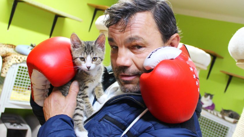 AUKCE O JEDINEČNÉ RUKAVICE SLAVNÉHO BOXERA ROMANA KRACÍKA KO...