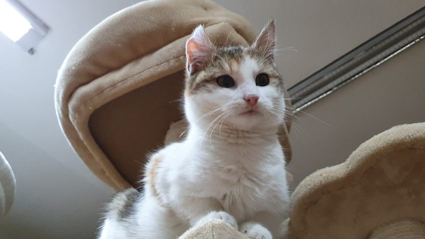 DALŠÍ KRÁSKOU  KTERÁ BYLA V NESNÁZÍCH A TEĎ DĚLÁ, RADOST VE ...