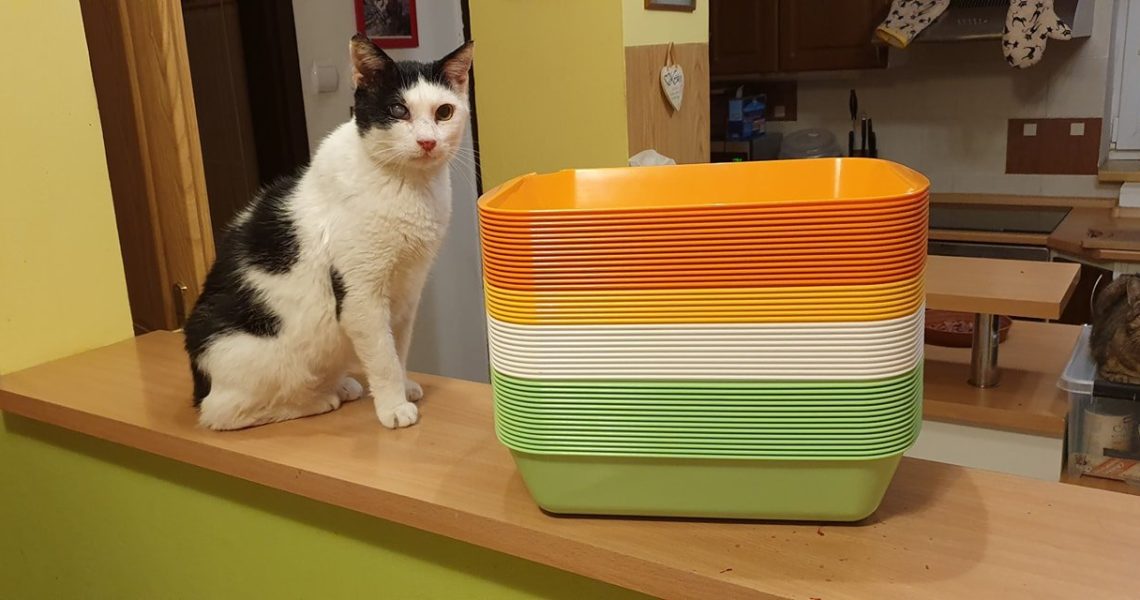 DALŠÍ ČÁST Z PROJEKTU, KTERÝ JSME JIŽ DÍKY VAŠÍM PŘÍSPĚVKŮM ...