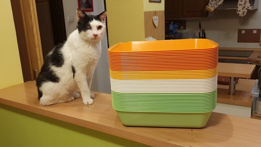 DALŠÍ ČÁST Z PROJEKTU, KTERÝ JSME JIŽ DÍKY VAŠÍM PŘÍSPĚVKŮM ...