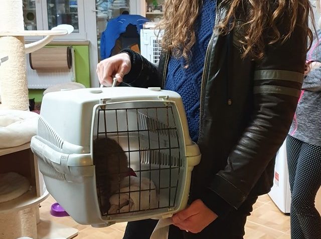 DNES ODEŠLY DO NOVÉHO  DOMOVA:  BASIČKA, ROMY, ANTON...