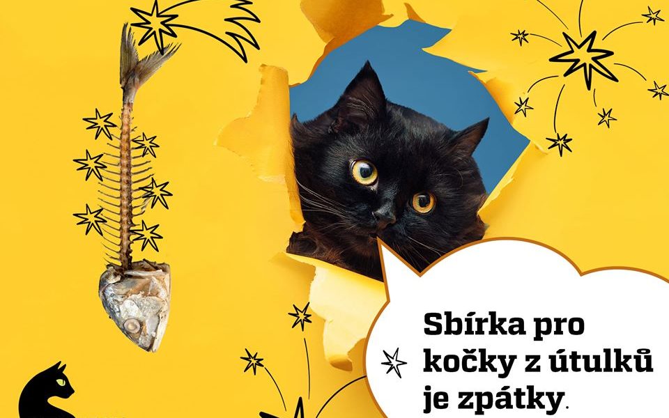 Další kolo největší charitativní sbírky pro kočky - Kočičí p...