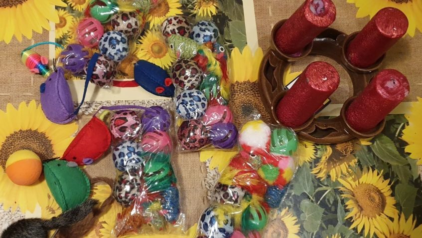 DĚKUJEME SLEČNĚ LENCE Z PRAHY ZA HROMADU HRAČEK PRO NAŠE CHL...