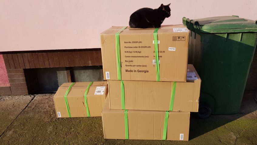 DĚKUJEME VŠEM DÁRCŮM ZA KRÁSNÉ VÁNOCE PRO KOČIČKY...