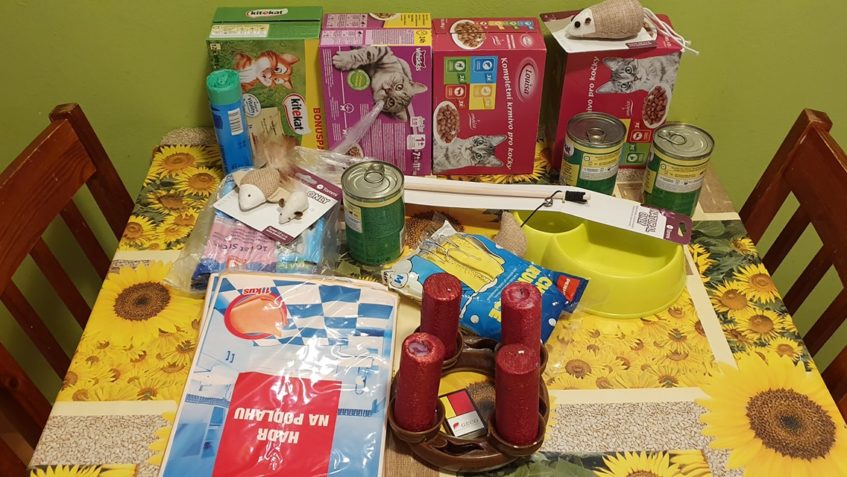 DĚKUJEME ZA DNEŠNÍ DÁRKY POD KOČIČÍ  STROMEČEK...