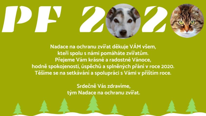 DĚKUJEME ZA PRVNÍ VANOČNÍ A NOVOROČNI PŘÁNÍ...