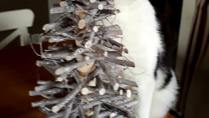 HRÁŠEK, BIBI, FAZOLKA, DRAHOUŠ...