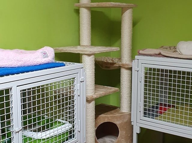 MÁME NOVÉ ŠKRABADLO...