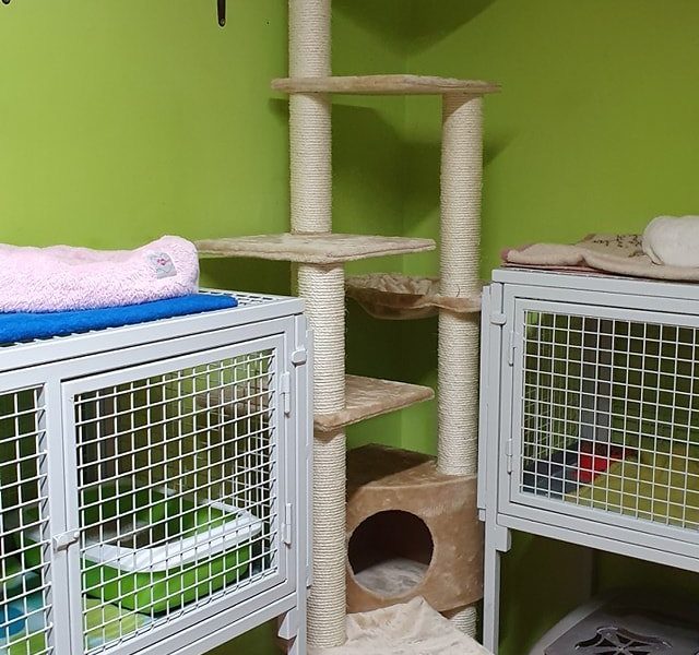 MÁME NOVÉ ŠKRABADLO...