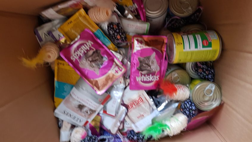 NAŠE SLUNÍČKA MAJÍ VELKOU RADOST Z OBSAHU VYROBENÉ KOČKY ŽÁK...