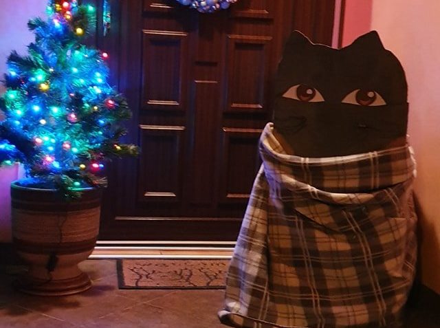 NOVÝ SLUNÍČKOVÝ "HLÍDACÍ" KOCOUR...