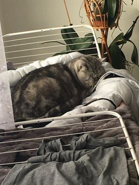 POZDRAVY OD NAŠICH SLUNÍČEK...