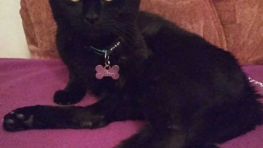 POZDRAVY Z NOVÝCH DOMOVŮ...